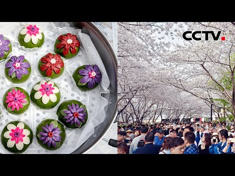 清明假期尝时令春鲜 文旅消费热度攀升 | CCTV「家国清明」20260406