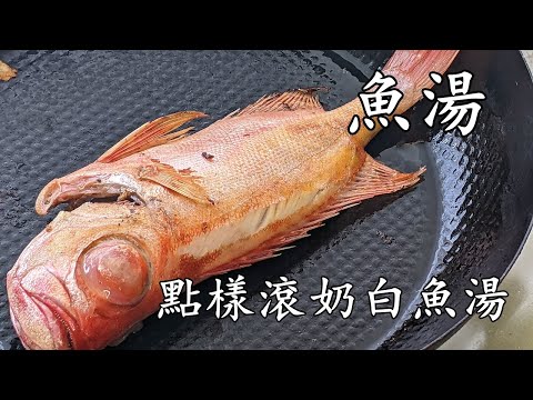 大眼雞魚蕃茄豆腐湯/魚湯 /如何快速滾奶白魚湯/新手都得/粵語中字/793