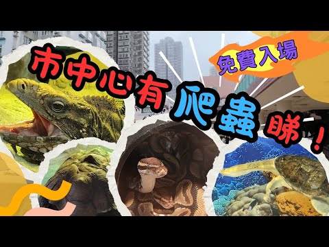 【巿中心有爬蟲睇】屯門遊2025 EP.3  | 爬蟲館 |  屯門公園  | 拍拖好去處 | 親子好去處