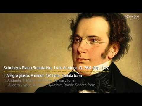 Schubert: Piano Sonata No. 14 in A minor, D. 784 (Op. 143)-I. Allegro giusto