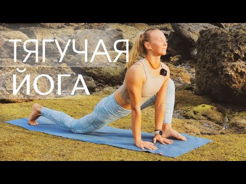 Stretchy Yoga/Flowing, Pleasant Yoga for the Whole Body