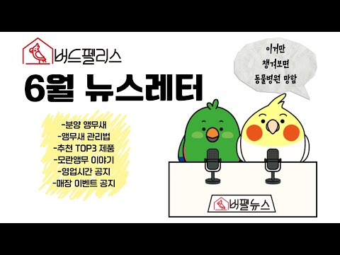 6월 버펠 뉴스! 건강앵으로 기르기 위해서 꼭 알아야 되는 내용~