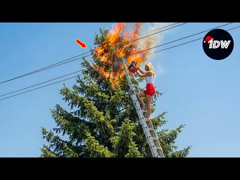 TOTAL IDIOTS AT WORK #782 | Instant Regret Fails Compilation 2025 | Best of the Week