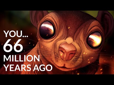 How Did We Survive Armageddon?