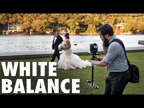 White Balance For Video EXPLAINED: How Cameras See Color & Light