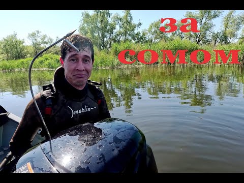 В поисках сома под крышами