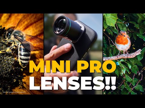 I Turned My iPhone Into a Pro Camera | Reeflex G-Series Lens Review