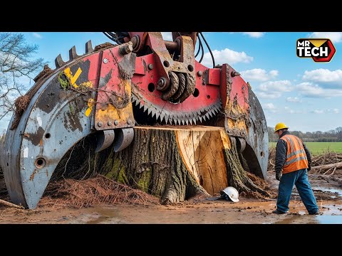 Extreme Dangerous Fastest Big Chainsaw Cutting Tree Machines | Monster Stump Removal Excavator #31