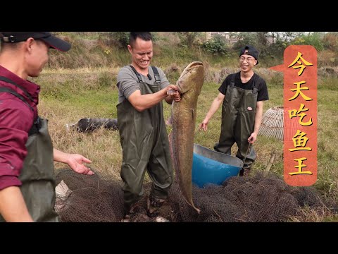 Chef Wang "Catch and Cook" giant catfish, 30 kg of deliciousness, Spicy Boiled, Steamed and Stir-fry