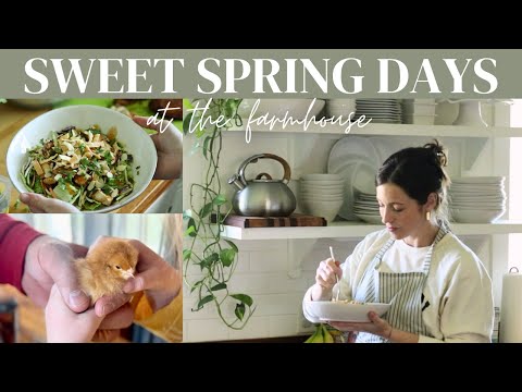 Spring Farmhouse Life | Freshening up our home, welcoming farm babies & a delicious spring salad!