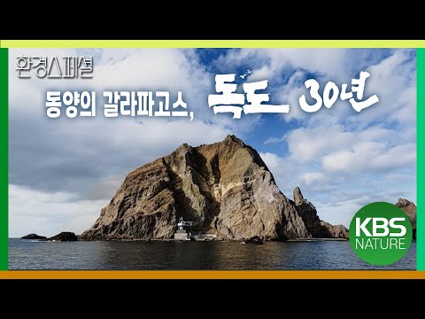 동양의 갈라파고스, 독도 30년의 기록 [2021-2022 UHD환경스페셜 33편 독도 30년] / KBS 20220113 방송