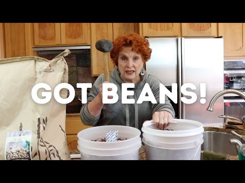 Got Beans!