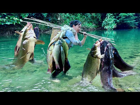 Traditional Fishing Skills - Single Mother Catches Giant Fish Using Bamboo Tube