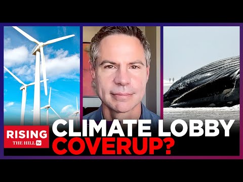 Renewable Wind Turbines Linked To Whale Deaths: Michael Shellenberger