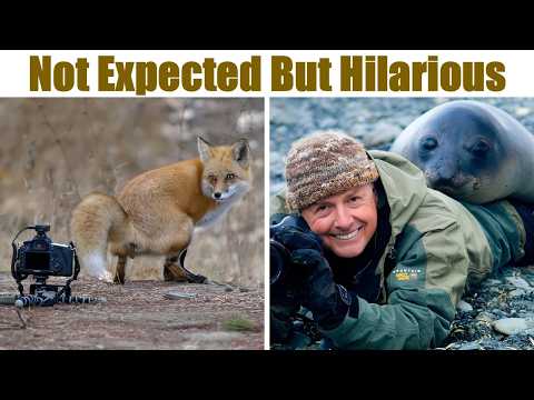 “The Day My Heart Melted”: Wildlife Photography GONE WRONG But In Hilarious Ways