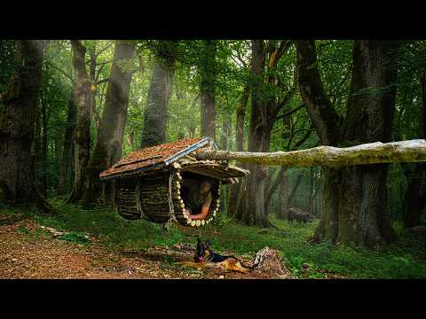 Building A Tree Survival Shelter in the Wild - Solo Camping With My Dog