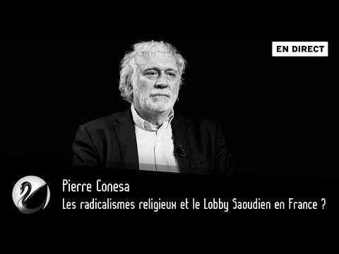 Les radicalismes religieux et le Lobby Saoudien en France ? Pierre Conesa [EN DIRECT]