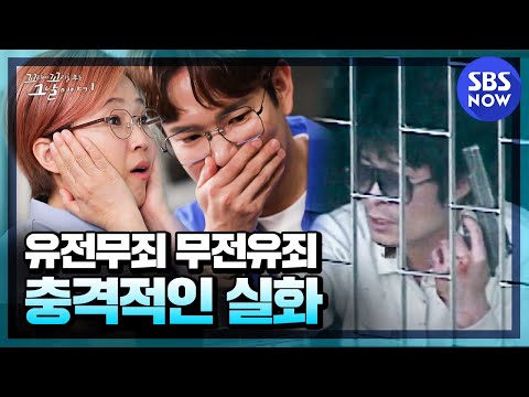 [Kkokkomu] Summary-a shocking story of 'All mighty is the dollar!s!' uncovered! SBS NOW