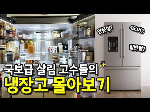 살림왕 49인의 '냉장고' 몰아보기, 2년간 5,200만 조회수 정리족보 | 정리학개론 ep.1