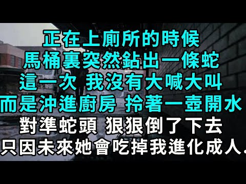 正在上廁所的時候，馬桶裏突然鉆出一條蛇，這一次 我沒有大喊大叫，而是沖進廚房 拎著一壺開水，對準蛇頭 狠狠倒了下去，只因未來她會吃掉我進化成人..
