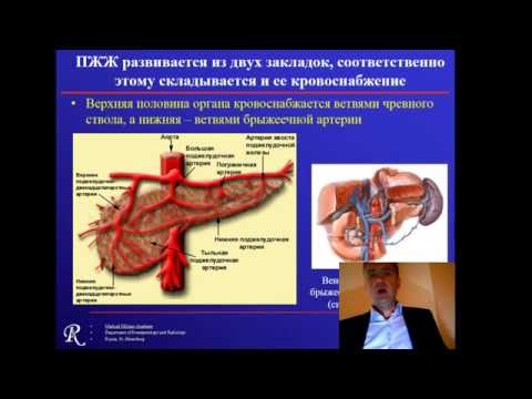 Лекция: "МРТ в диагностике новообразований поджелудочной железы"