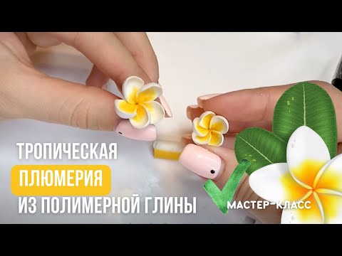 Плюмерия из запекаемой полимерной глины. Мастер класс тропические цветы