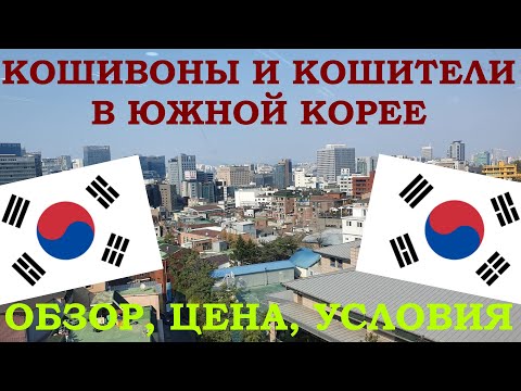 ЮЖНАЯ КОРЕЯ #2 - ОБЗОР НА КОШИТЕЛЬ, ГДЕ Я ЖИВУ, СКОЛЬКО СТОИТ МЕСЯЦ ПРОЖИВАНИЯ, УСЛОВИЯ, МОЙ ПРИМЕР