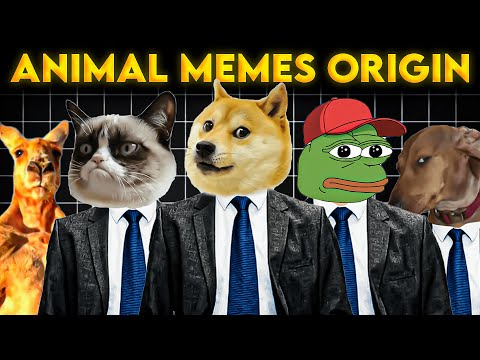 The Most Popular Animal Memes and Their Origin