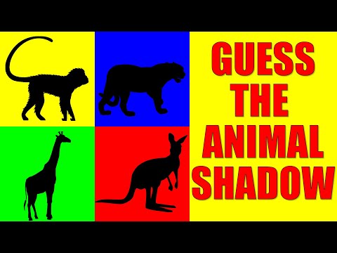 Guess the Zoo Animal from Their Shadow | Quiz Game for Kids, Preschoolers and Kindergarten