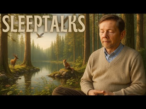 Sit Back and Relax to ECKHART TOLLE’S Meditation Retreat