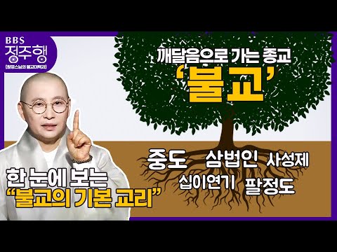 [#정주행] '고(苦)'에서 시작하는 불교, 불교를 이루는 기본 교리 한 편으로 배우기 | 원영스님의 불교대백과