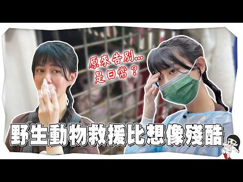 參與野生動物救援！突然接噩耗直接爆哭？｜白癡公主