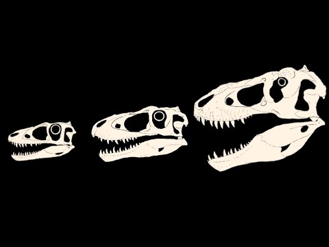 The Mysteries & Puzzles of T.rex Growth