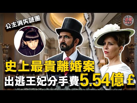 迪拜王妃天價離婚獲5.54億英鎊分手費，出逃牢籠意外撞破迪拜王室黑幕，聯姻棋子、下藥囚禁、消失的迪拜公主...【迷霧調查組】約旦公主 迪拜王室 案件解說