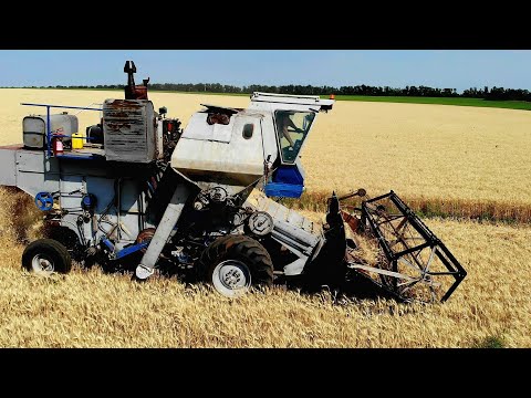Harvest in Ukraine | Combine Harvesters - Kings of the Fields | Harvest Song 🎵🌾
