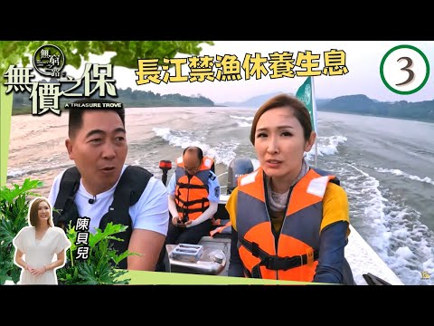 陳貝兒  長江禁漁休養生息 | 無窮之路 II - 無價之保 #03 | 陳貝兒 | 粵語中字 | TVB 2022