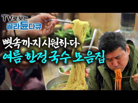 물회부터 시작합니다, 머리에 열나는데 뜨거운 거 말고 시원한 국수 한 그릇｜한국기행｜#골라듄다큐