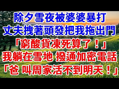 除夕雪夜被婆婆暴打，丈夫拽著頭發把我拖出門：「窮酸貨凍死算了！」我單衣赤腳躺在雪地中，看婆家8口舉杯慶祝，顫抖撥通加密電話：爸，叫周家活不到明天！#詩涵講故事#為人處世#生活經驗#情感故事#晚年哲理