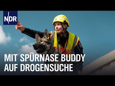 Polizei: Spürhunde bei der Arbeit | Die Nordreportage | NDR Doku