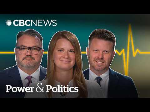 Political Pulse: Can the NDP keep up as Carney inches closer to a majority? | Power & Politics