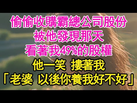偷偷收購霸總公司股份，被他發現那天，看著我49%的股權，他一笑 摟著我，「老婆 以後你養我好不好」【琉璃】【甜寵】【霸總】