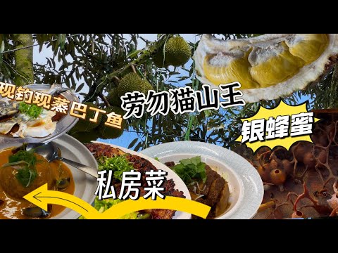 彭亨Raub美食一日游：到榴莲园吃 猫山王，自钓山水养的巴丁鱼，四十年历史咖啡和只做预订三十多年历史的私房菜，品尝了快失传冻鸡，炭烧黑毛猪排骨，客家扣肉等，了解银蜂农产养殖，原来是那么不容易养……