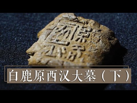 一块封泥、一枚私印即将揭开两对西汉夫妇迥然不同的往事《白鹿原西汉大墓》（下）| 中华国宝