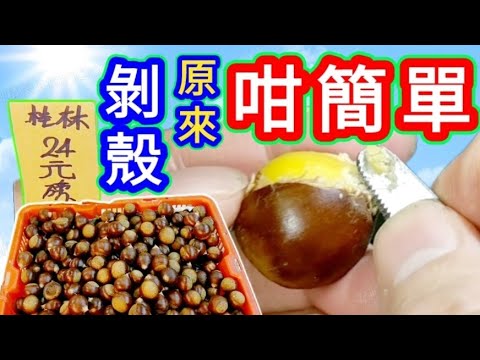栗子🔵 板栗🔵 桂林栗子🔵 點樣剝殼🔵 原來好簡單🔵 你都做得到🔵Peel Chestnuts Tips🔵