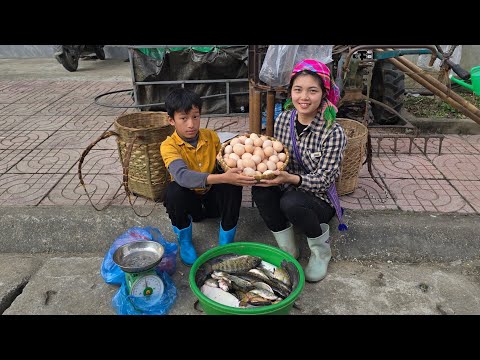 highland life,  setting traps to catch fish, building a farm, and harvesting chicken eggs to sell.