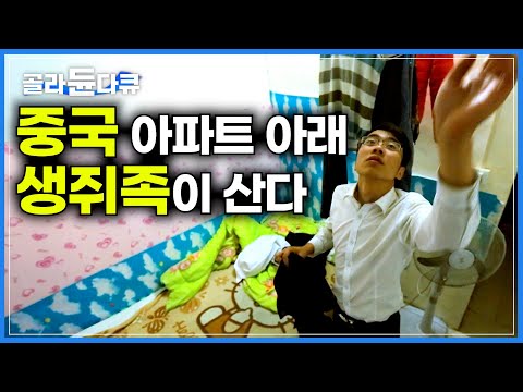 "월세 8만원, 먹고 살만은 하다" 퀴퀴한 고층빌딩 지하라도 아파트에는 살고 싶은 중국 청년들│현대인에게 아파트란 어떤 곳일까?│중국 생쥐족│다큐프라임│#골라듄다큐