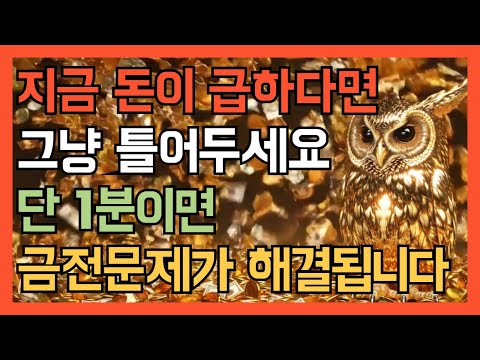 1분이면 금전운이 폭발합니다 🌕 888hz 황금 부엉이 금전 재물 횡재수 귀인 주파수