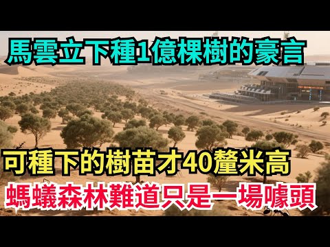 馬雲曾立下每年種1億棵樹的豪言，可如今種下的樹苗才僅僅40厘米高，螞蟻森林難道只是一場噱頭？【八哥說世界】#科普 #沙漠 #超級工程 #建造 #熱門 #中國基建 #沙漠工程 #中国基建 #水利工程