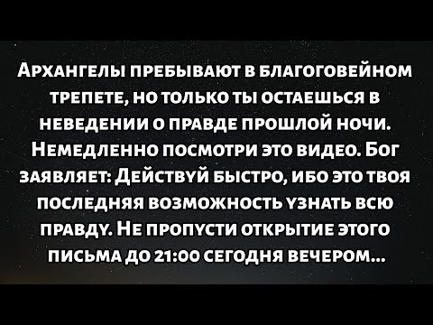 🧾Архангелы в полном шоке, но только вы остаетесь в неведении о событиях прошлой ночи. Пожалуйста...