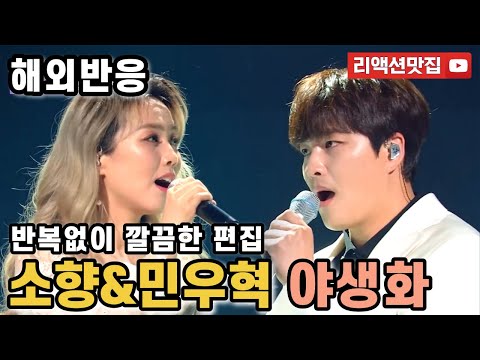 [반복없이깔끔한편집] 소향 민우혁 야생화 Wild flower 불후의 명곡 해외반응 리액션 모음